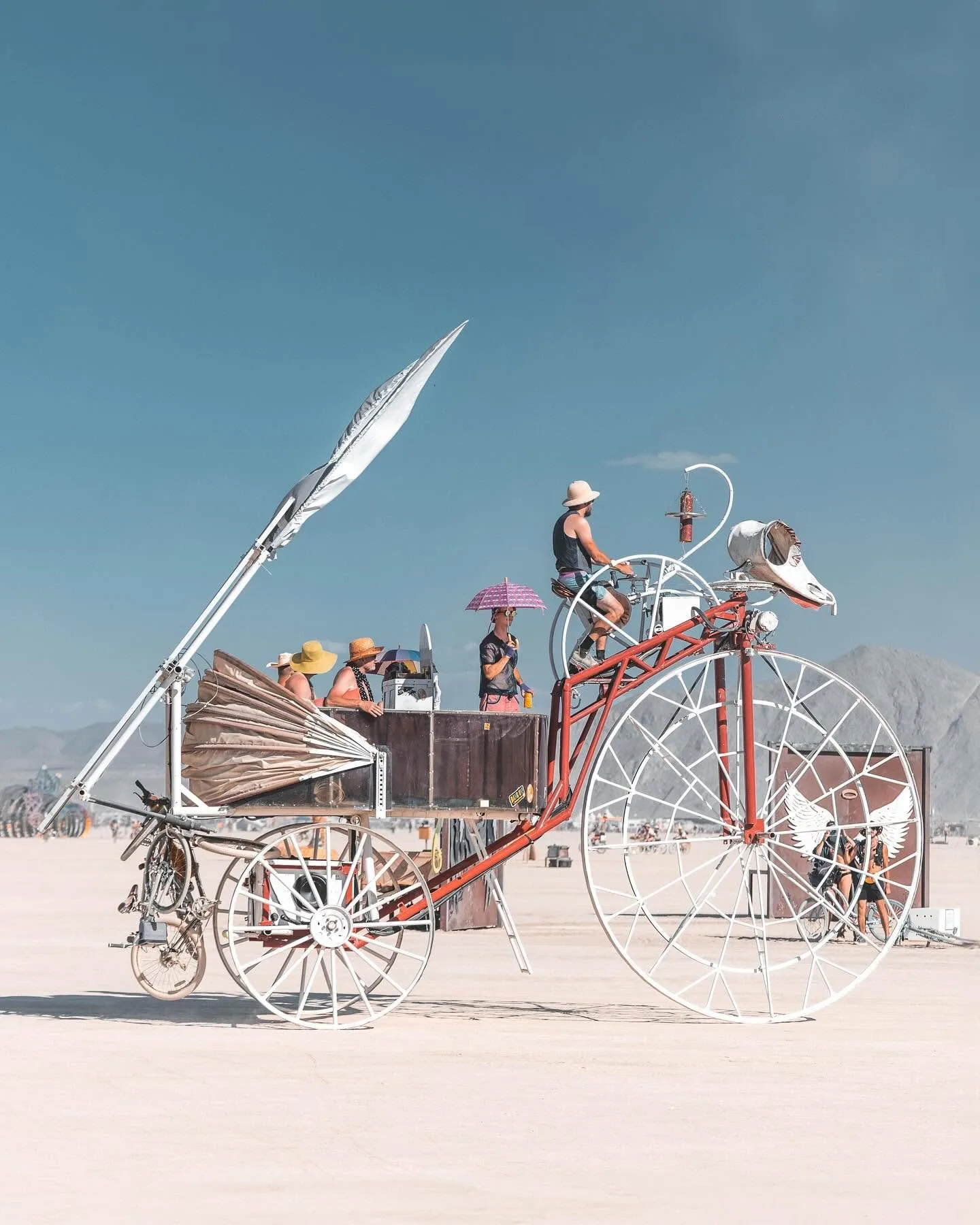 Daisy in the desert sun, a rider pedalling up front and passengers with hats and a parasol in the carriage
